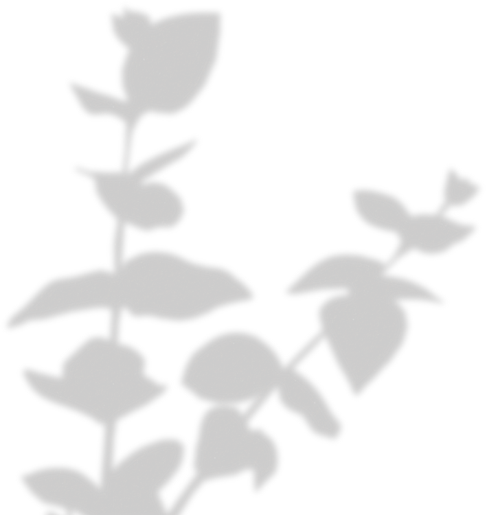 Simple Floral Shadow Stems